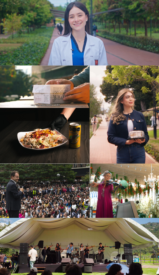 Moodboard Acento Servicios